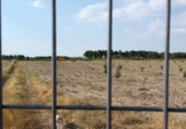 Finca rústica en venta en la España, Almenara de Adaja, ref: TR327332 foto