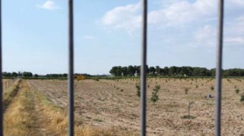 Valladolid - Almenara de Adaja - 250000m2