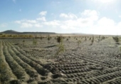 Finca rústica en venta en la España, Almenara de Adaja, ref: TR327332 foto