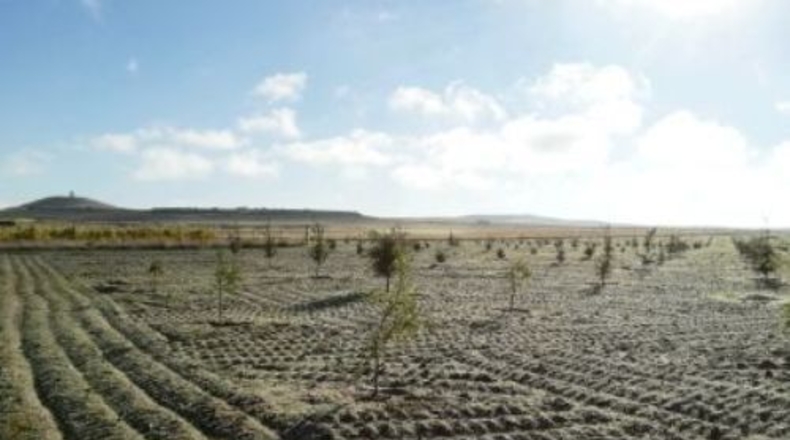 Valladolid - Almenara de Adaja - 250000m2