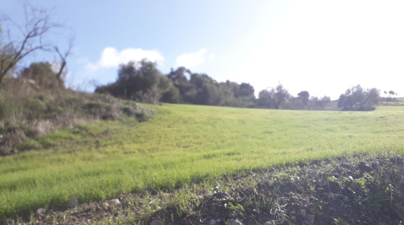 Málaga - Montecorto - 230000m2