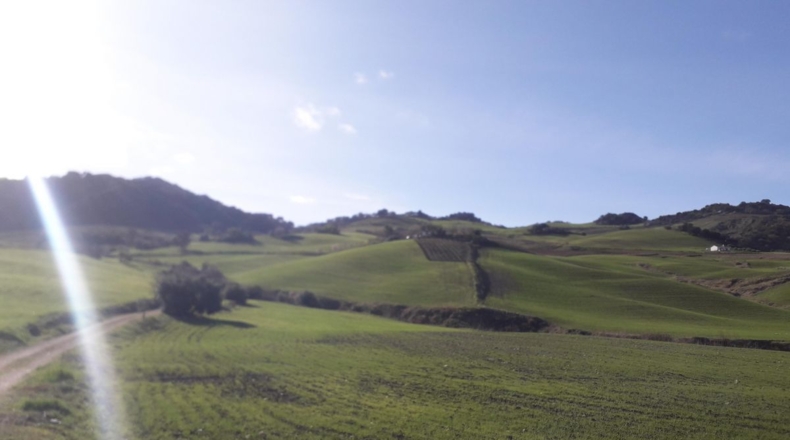 Málaga - Montecorto - 230000m2