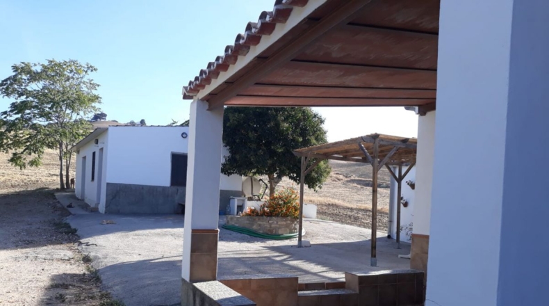 Málaga - Montecorto - 230000m2