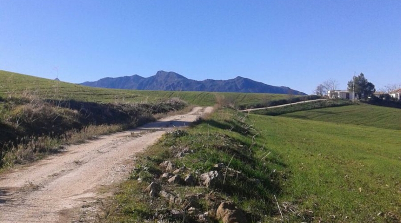Málaga - Montecorto - 230000m2