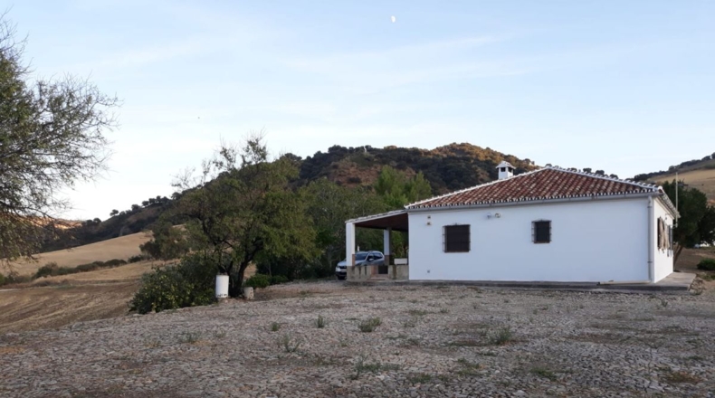 Málaga - Montecorto - 230000m2