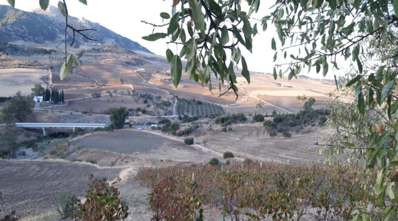 Málaga - Montecorto - 230000m2