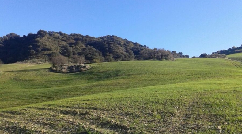 Málaga - Montecorto - 230000m2