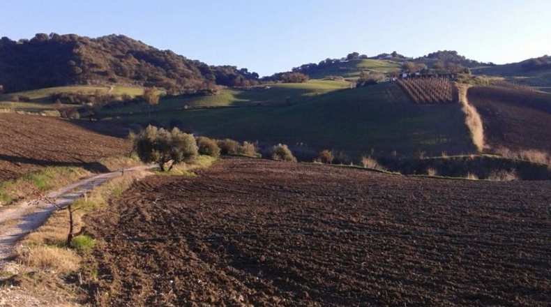 Málaga - Montecorto - 230000m2