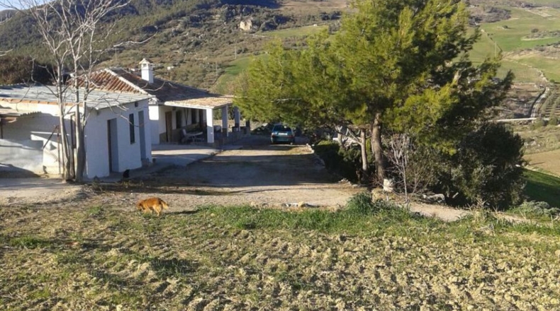 Málaga - Montecorto - 230000m2