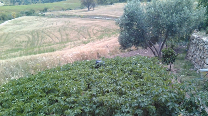 Málaga - Montecorto - 230000m2