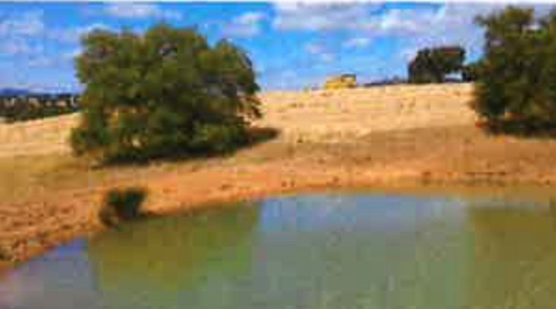 Ciudad Real - Ciudad Real - 17000000m2