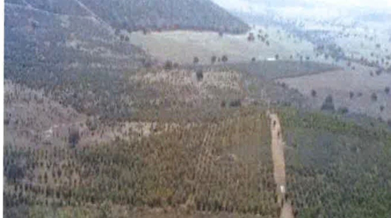 Ciudad Real - Ciudad Real - 17000000m2