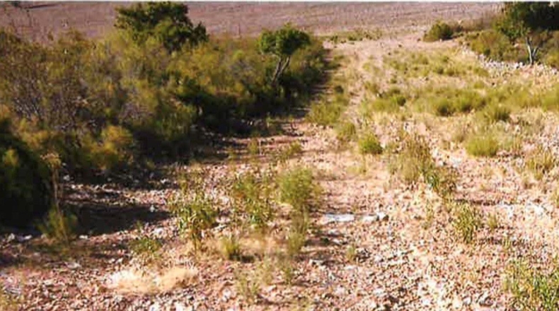 Ciudad Real - Ciudad Real - 17000000m2