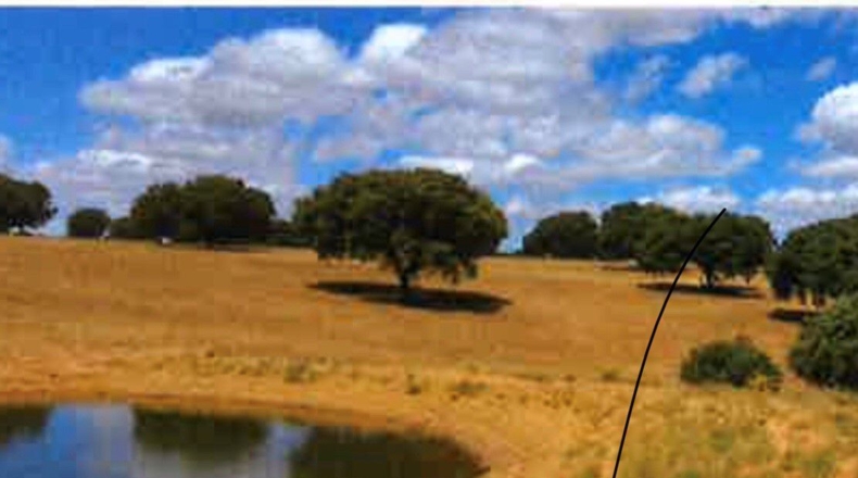Ciudad Real - Ciudad Real - 17000000m2