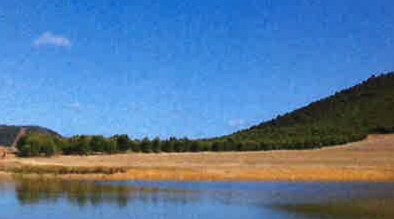 Ciudad Real - Ciudad Real - 17000000m2