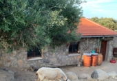 Rural estate for sale in Cenicientos ref: TR22852 photo