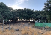 Rural estate for sale in Cenicientos ref: TR22852 photo