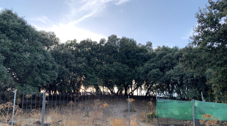 Comunidad de Madrid - Cenicientos - 20000m2