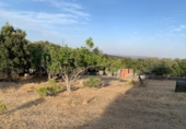 Rural estate for sale in Cenicientos ref: TR22852 photo