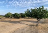 Rural estate for sale in Cenicientos ref: TR22852 photo