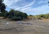 Rural estate for sale in Cenicientos ref: TR22852 photo