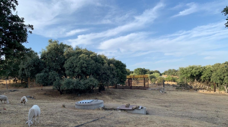 Comunidad de Madrid - Cenicientos - 20000m2