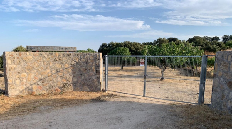 Comunidad de Madrid - Cenicientos - 20000m2