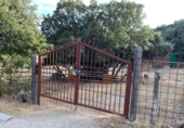 Rural estate for sale in Cenicientos ref: TR22852 photo