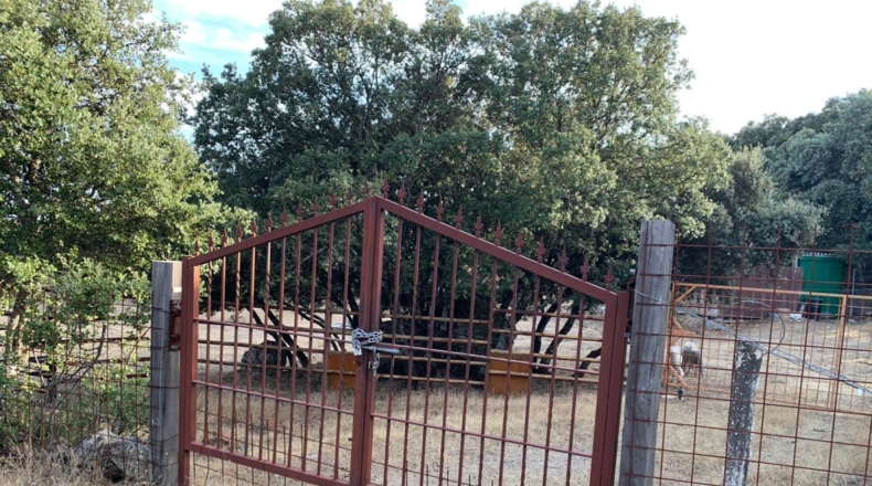 Comunidad de Madrid - Cenicientos - 20000m2