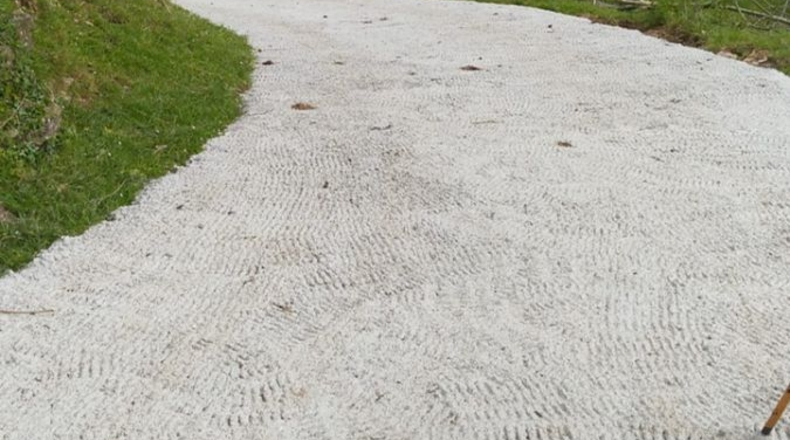 Cantabria - Saro de Arriba - 31000m2