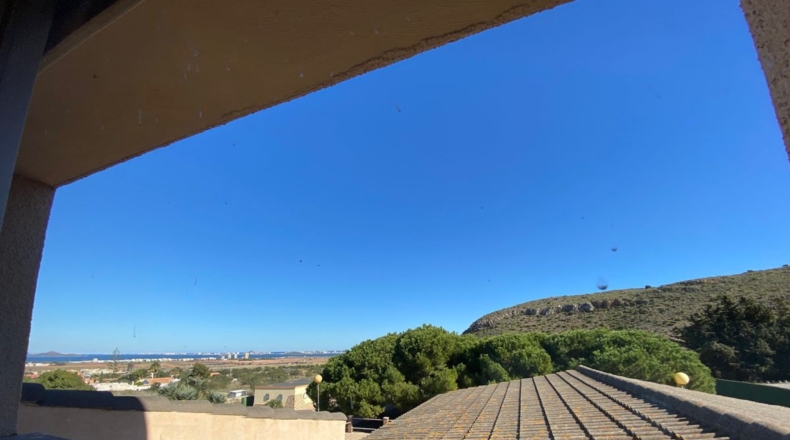Murcia - Cartagena - 5299m2