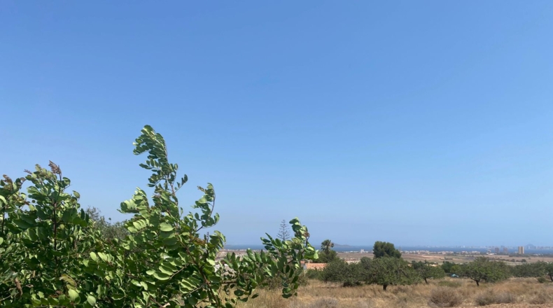 Murcia - Cartagena - 5299m2