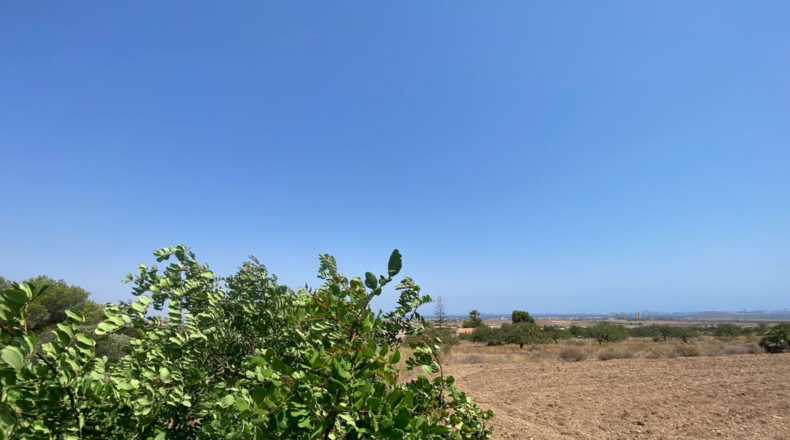Murcia - Cartagena - 5299m2