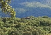 Finca rústica en venda a El Real de San Vicente ref.: TR189076 foto