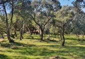 Finca rústica en venda a El Real de San Vicente ref.: TR189076 foto