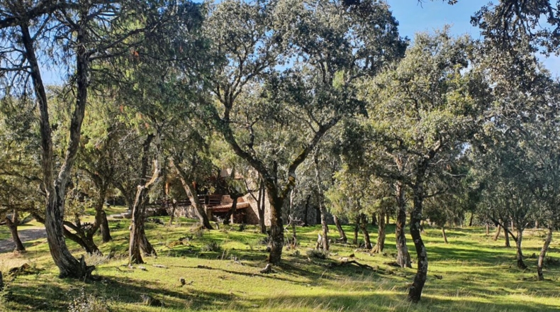 Toledo - El Real de San Vicente - 16000m2