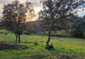 Finca rústica en venda a El Real de San Vicente ref.: TR189076 foto