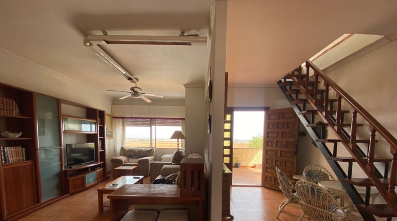 Murcia - Cartagena - 4371m2