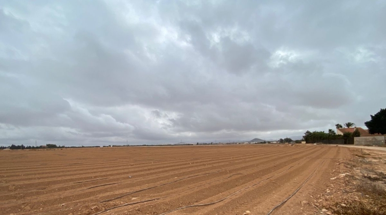 Murcia - Cartagena - 85000m2
