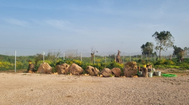 Múrcia - Cartagena - 3909m2