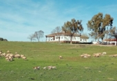 Finca rústica en venda a Puertollano ref.: TR266016 foto