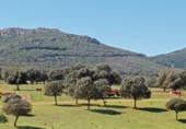 Finca rústica en venda a Puertollano ref.: TR266016 foto