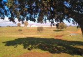 Finca rústica en venda a Puertollano ref.: TR266016 foto