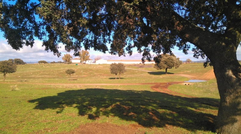 Ciudad Real - Puertollano - 650m2