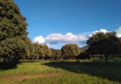 Finca rústica en venda a Puertollano ref.: TR266016 foto
