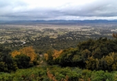 Finca rústica en venda a Puertollano ref.: TR266016 foto