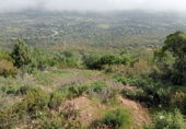 Finca rústica en venda a Puertollano ref.: TR266016 foto