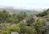 Finca rústica en venda a Puertollano ref.: TR266016 foto