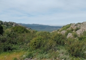 Finca rústica en venda a Puertollano ref.: TR266016 foto