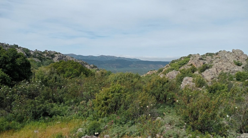 Ciudad Real - Puertollano - 650m2